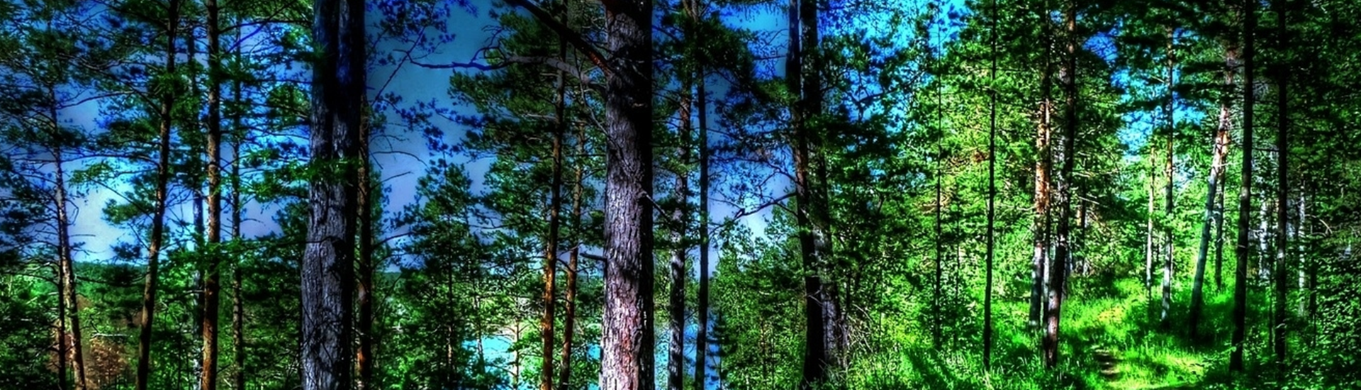 Baner2